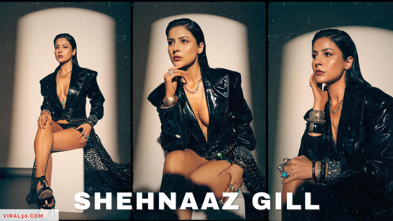 shehnaaz gill bold photoshoot