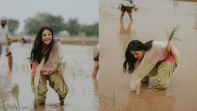 Shehnaaz Gill