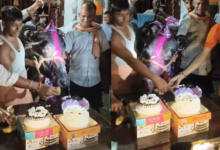 Ballia Buffalo Birthday