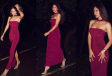 Sonam Bajwa